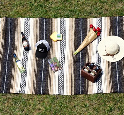 Pack Your Perfect Wolf Trap Picnic