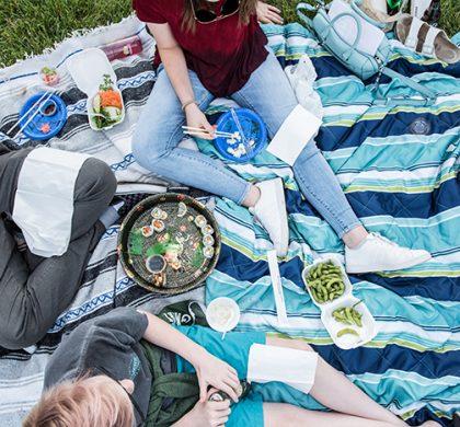 The Art of a Perfect Picnic