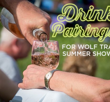 Drink Pairings for Summer Shows