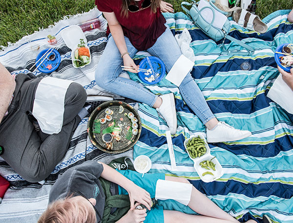 The Art of a Perfect Picnic