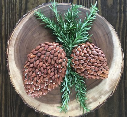 Easy & Elegant Holiday Appetizers