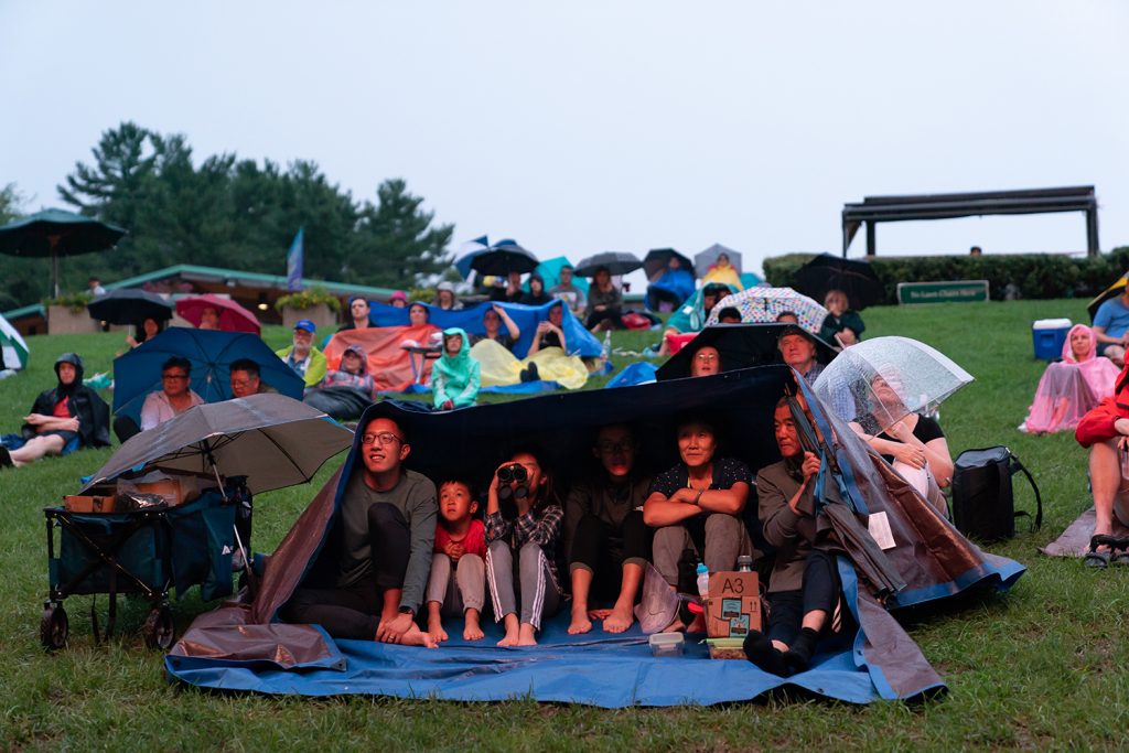 Wolf Trap Lawn Seating Chart