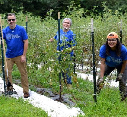 Local Heroes Recognized for Building Community Resiliency Through the Arts