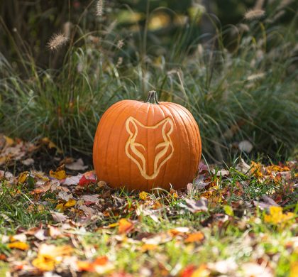 Halloween Tricks and Treats at Home