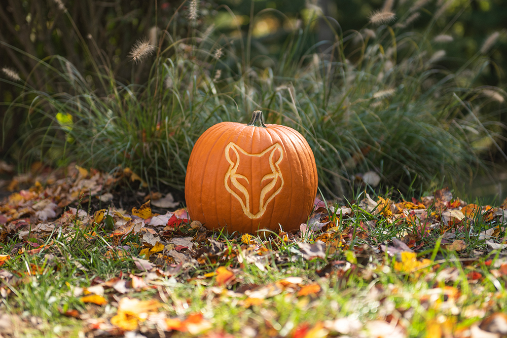 wolf pumpkin carving ideas