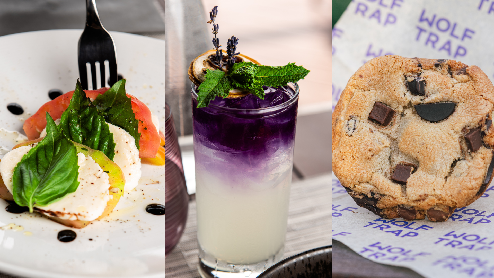 Tuned to Your Taste: A Foodie Guide for Your Upcoming Show